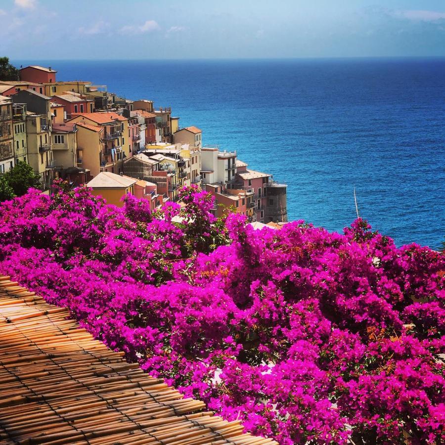La Torretta Lodge Manarola Dış mekan fotoğraf